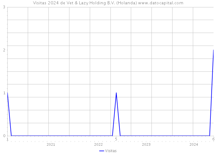 Visitas 2024 de Vet & Lazy Holding B.V. (Holanda) 