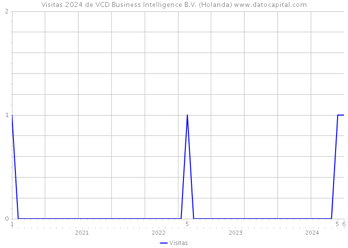 Visitas 2024 de VCD Business Intelligence B.V. (Holanda) 