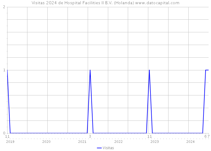 Visitas 2024 de Hospital Facilities II B.V. (Holanda) 