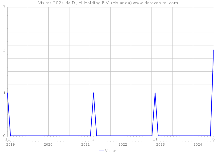 Visitas 2024 de D.J.H. Holding B.V. (Holanda) 