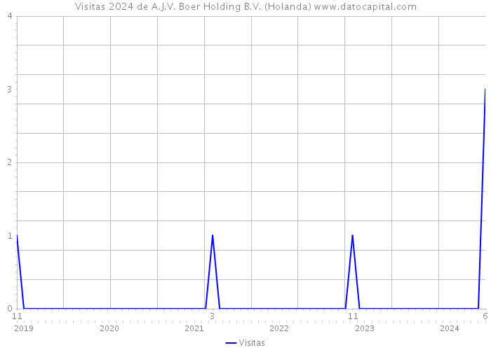 Visitas 2024 de A.J.V. Boer Holding B.V. (Holanda) 