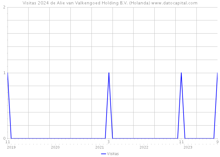 Visitas 2024 de Alie van Valkengoed Holding B.V. (Holanda) 