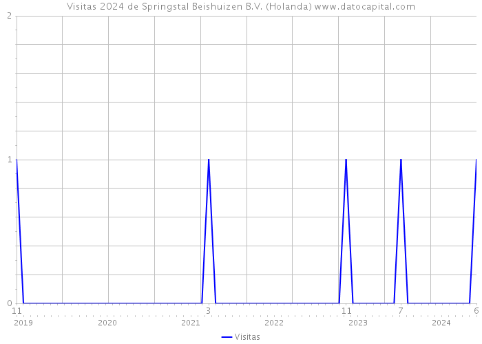 Visitas 2024 de Springstal Beishuizen B.V. (Holanda) 