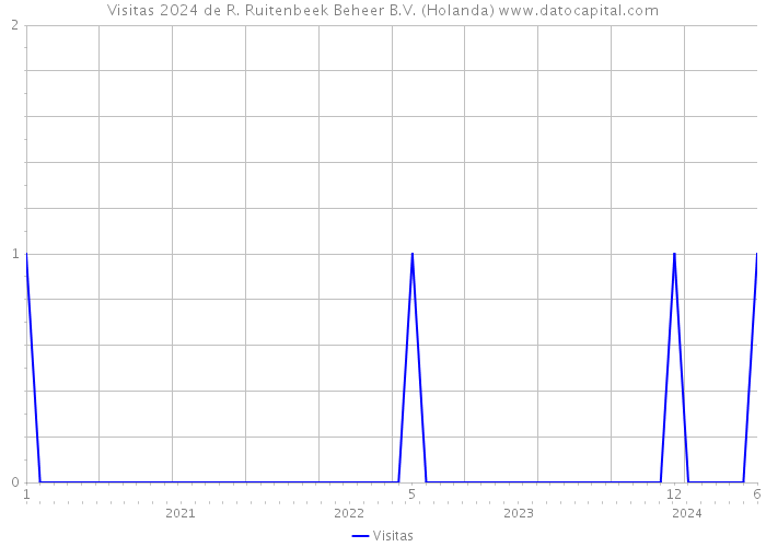 Visitas 2024 de R. Ruitenbeek Beheer B.V. (Holanda) 
