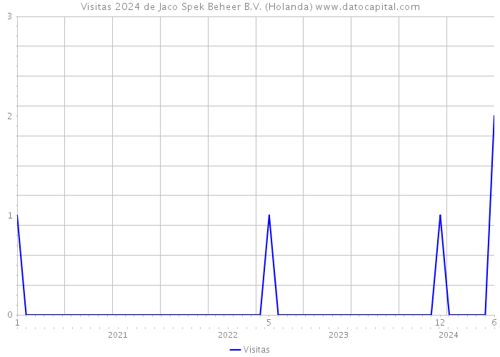 Visitas 2024 de Jaco Spek Beheer B.V. (Holanda) 