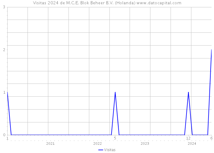 Visitas 2024 de M.C.E. Blok Beheer B.V. (Holanda) 