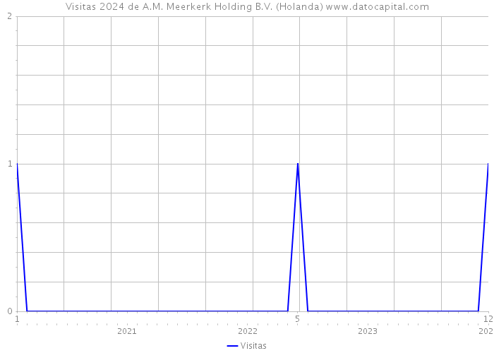 Visitas 2024 de A.M. Meerkerk Holding B.V. (Holanda) 