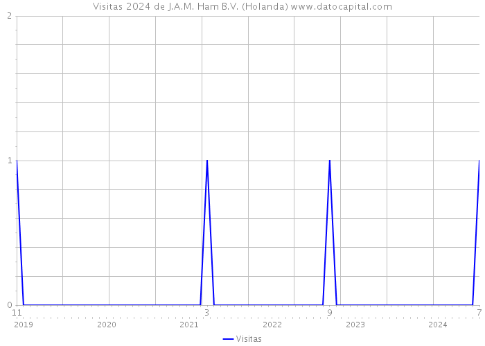 Visitas 2024 de J.A.M. Ham B.V. (Holanda) 