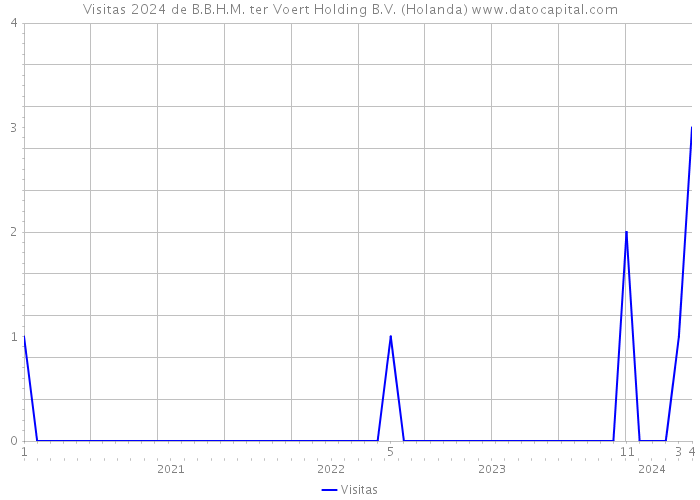 Visitas 2024 de B.B.H.M. ter Voert Holding B.V. (Holanda) 