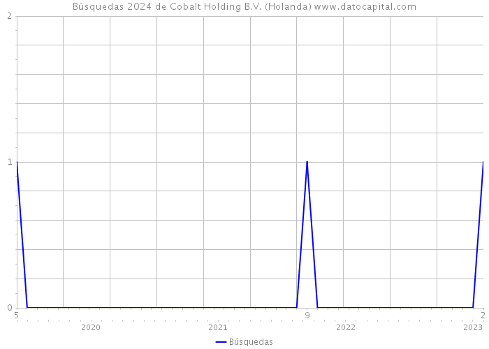 Búsquedas 2024 de Cobalt Holding B.V. (Holanda) 