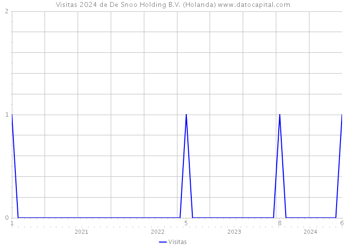 Visitas 2024 de De Snoo Holding B.V. (Holanda) 