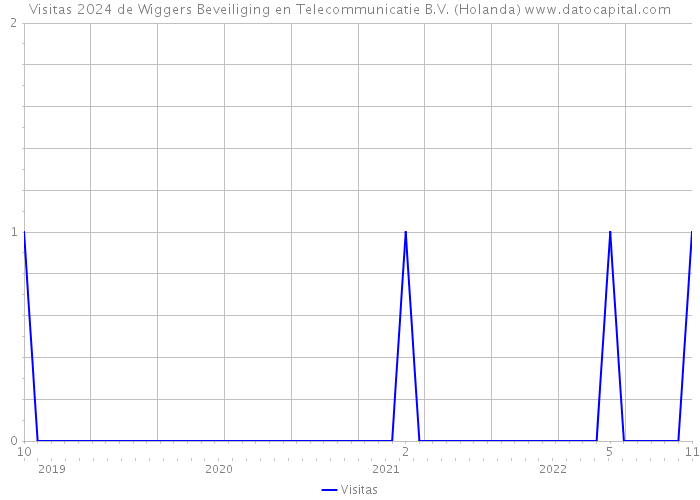 Visitas 2024 de Wiggers Beveiliging en Telecommunicatie B.V. (Holanda) 