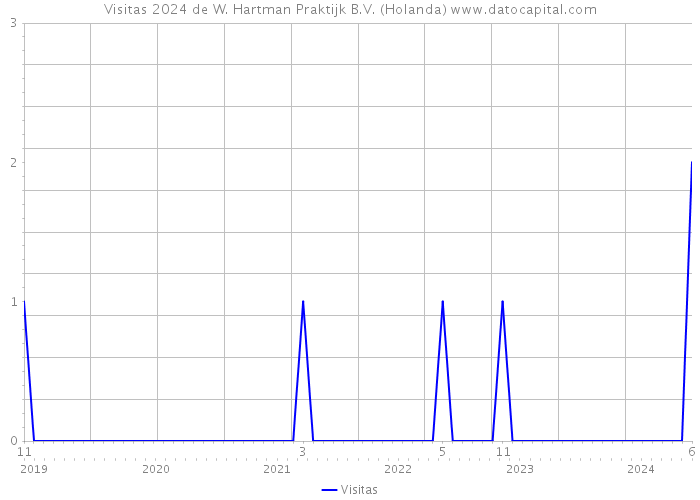 Visitas 2024 de W. Hartman Praktijk B.V. (Holanda) 