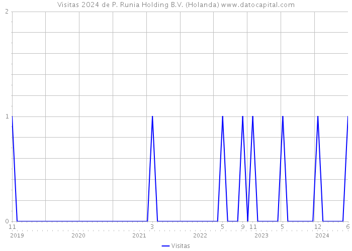 Visitas 2024 de P. Runia Holding B.V. (Holanda) 