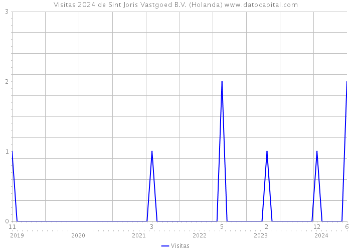 Visitas 2024 de Sint Joris Vastgoed B.V. (Holanda) 