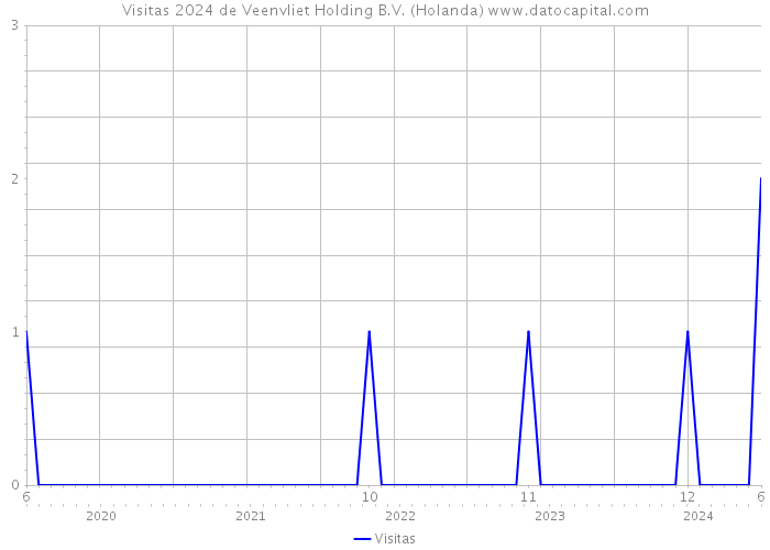 Visitas 2024 de Veenvliet Holding B.V. (Holanda) 