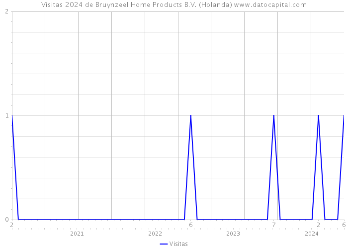 Visitas 2024 de Bruynzeel Home Products B.V. (Holanda) 