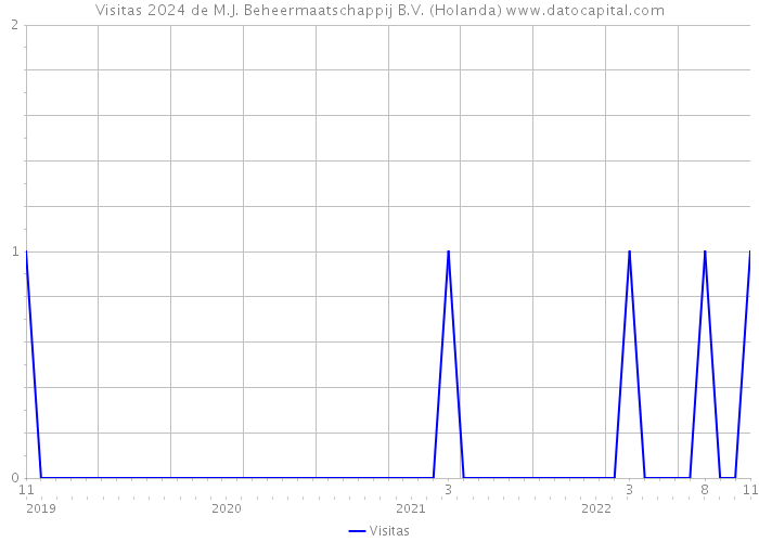 Visitas 2024 de M.J. Beheermaatschappij B.V. (Holanda) 