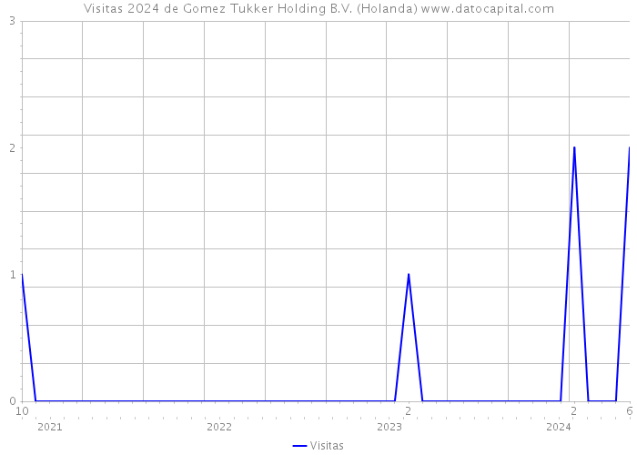 Visitas 2024 de Gomez Tukker Holding B.V. (Holanda) 