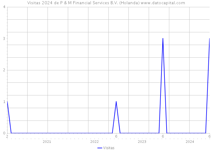 Visitas 2024 de P & M Financial Services B.V. (Holanda) 