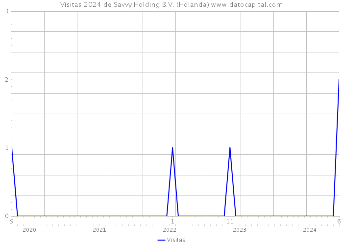 Visitas 2024 de Savvy Holding B.V. (Holanda) 