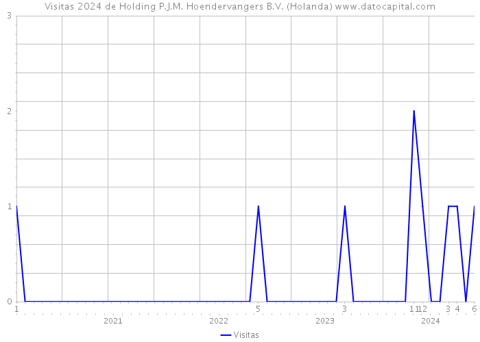 Visitas 2024 de Holding P.J.M. Hoendervangers B.V. (Holanda) 