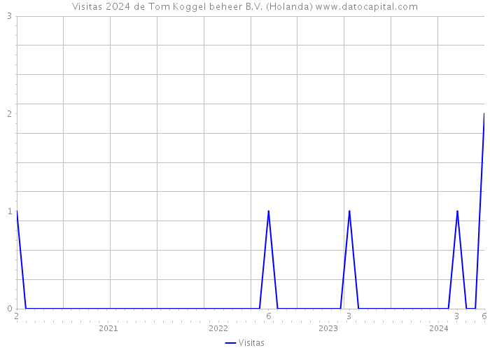 Visitas 2024 de Tom Koggel beheer B.V. (Holanda) 