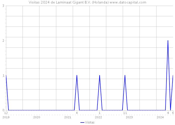 Visitas 2024 de Laminaat Gigant B.V. (Holanda) 