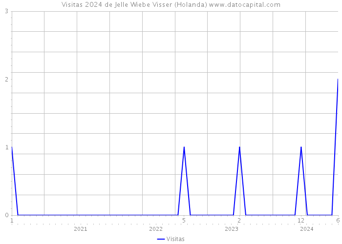 Visitas 2024 de Jelle Wiebe Visser (Holanda) 