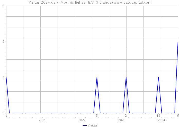 Visitas 2024 de P. Mourits Beheer B.V. (Holanda) 