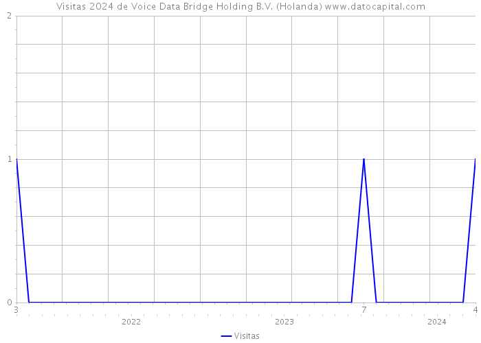 Visitas 2024 de Voice Data Bridge Holding B.V. (Holanda) 