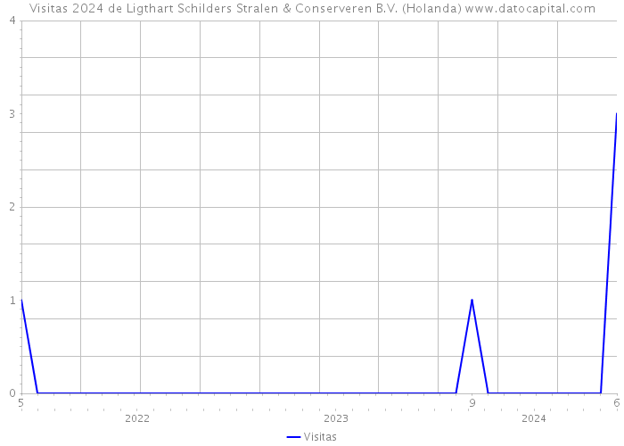 Visitas 2024 de Ligthart Schilders Stralen & Conserveren B.V. (Holanda) 