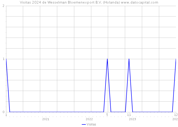 Visitas 2024 de Wesselman Bloemenexport B.V. (Holanda) 