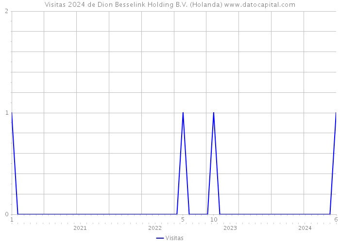 Visitas 2024 de Dion Besselink Holding B.V. (Holanda) 