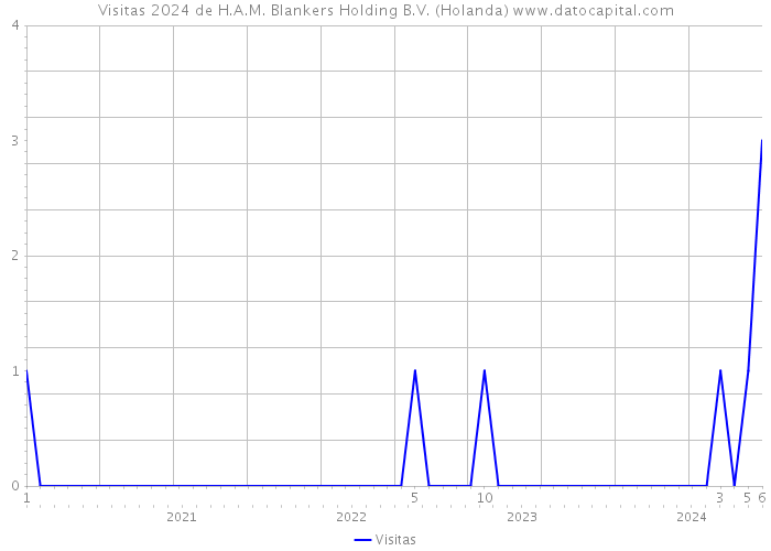 Visitas 2024 de H.A.M. Blankers Holding B.V. (Holanda) 