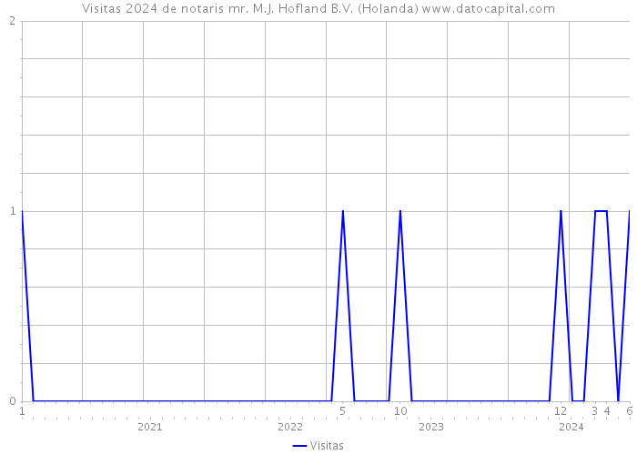 Visitas 2024 de notaris mr. M.J. Hofland B.V. (Holanda) 