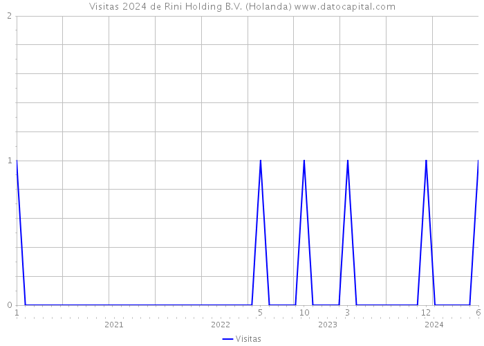 Visitas 2024 de Rini Holding B.V. (Holanda) 