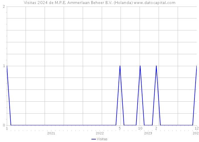 Visitas 2024 de M.P.E. Ammerlaan Beheer B.V. (Holanda) 