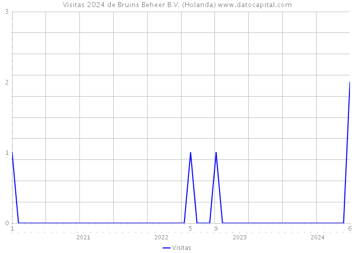 Visitas 2024 de Bruins Beheer B.V. (Holanda) 