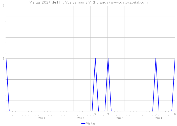 Visitas 2024 de H.H. Vos Beheer B.V. (Holanda) 