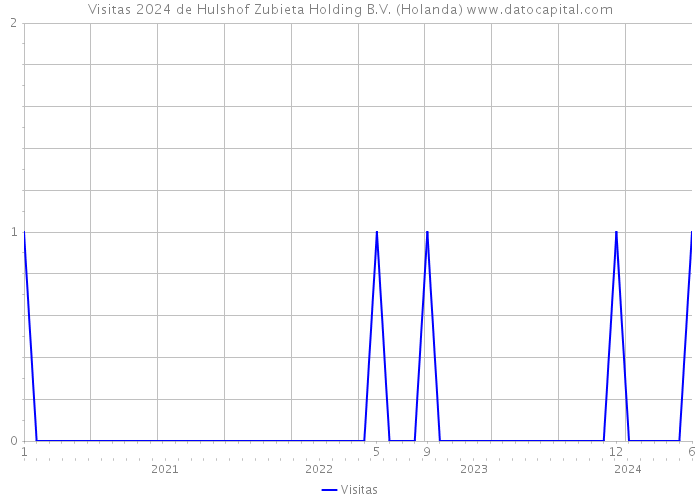 Visitas 2024 de Hulshof Zubieta Holding B.V. (Holanda) 