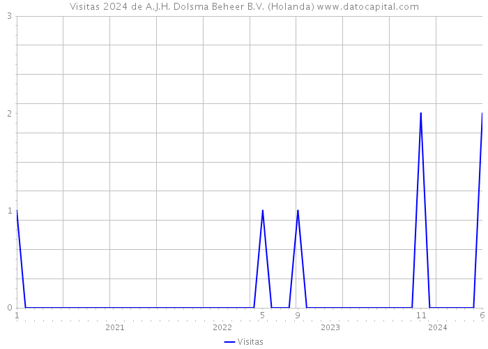 Visitas 2024 de A.J.H. Dolsma Beheer B.V. (Holanda) 