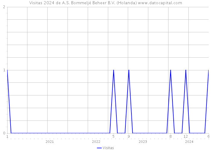 Visitas 2024 de A.S. Bommeljé Beheer B.V. (Holanda) 