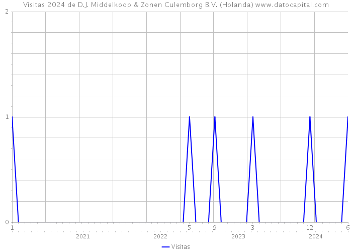 Visitas 2024 de D.J. Middelkoop & Zonen Culemborg B.V. (Holanda) 