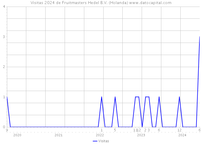 Visitas 2024 de Fruitmasters Hedel B.V. (Holanda) 