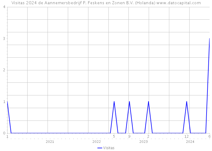 Visitas 2024 de Aannemersbedrijf P. Feskens en Zonen B.V. (Holanda) 