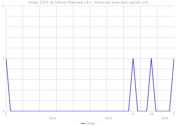 Visitas 2024 de Nelisse Makelaars B.V. (Holanda) 