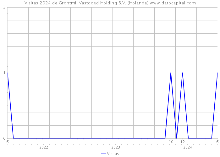 Visitas 2024 de Grontmij Vastgoed Holding B.V. (Holanda) 