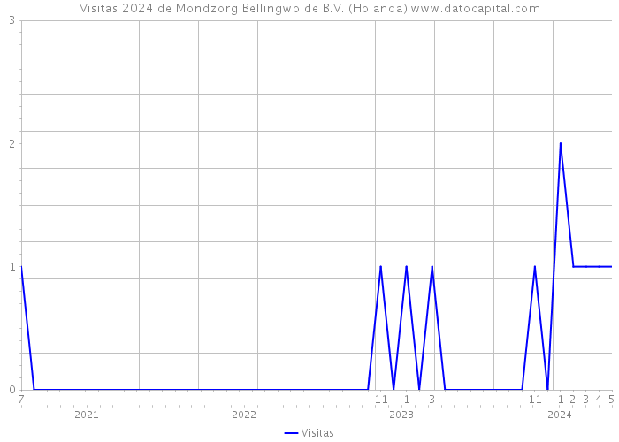 Visitas 2024 de Mondzorg Bellingwolde B.V. (Holanda) 