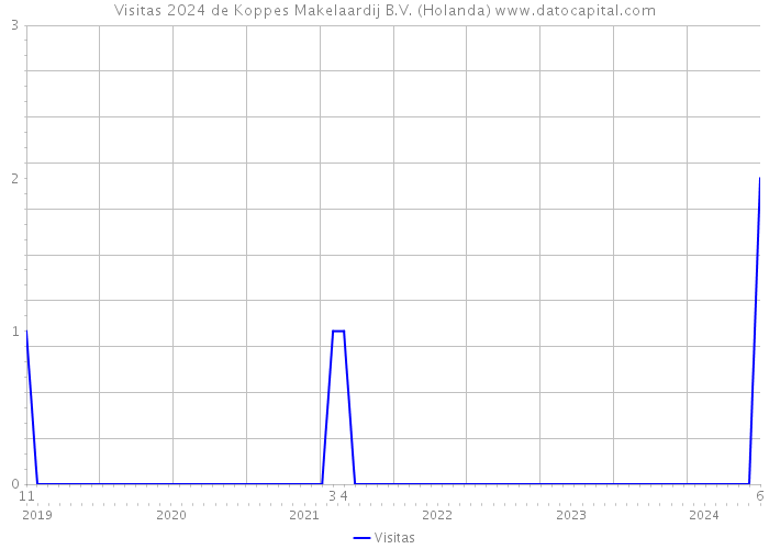 Visitas 2024 de Koppes Makelaardij B.V. (Holanda) 